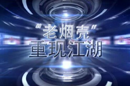 老煙殼重現(xiàn)江湖——縱論大勢，撥開2016大蒜迷霧 (4026播放)