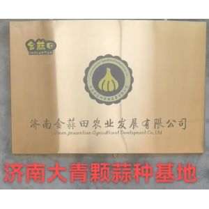 大量供應(yīng)濟南大青稞品種大蒜蒜種