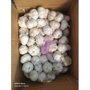 大蒜加工、出口 Garlic exporter