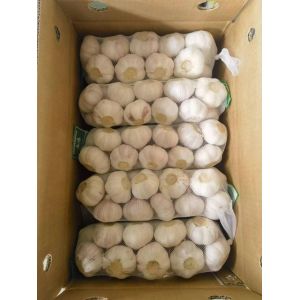 大蒜加工、出口 Garlic exporter