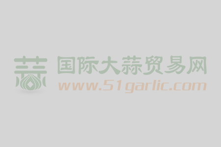 聊城莘縣大蒜主產(chǎn)區(qū)